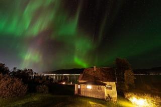Arctic Serenity - 5