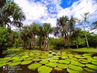 Jacamar Lodge Expeditions - 4