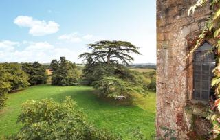 Apaisante Maison Authentique - 2