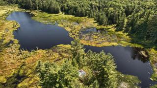 Serenity Point Dome - Romantic Glamping Escape on a Private Pond - 7