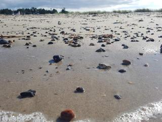 6 person holiday home in Grenaa-By Traum - 2