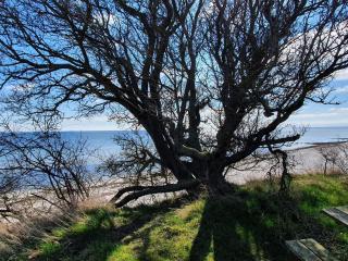 8 person holiday home in Nykøbing F-By Traum - 1
