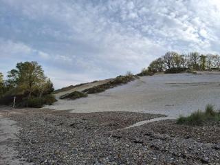 4 person holiday home in Børkop - 5