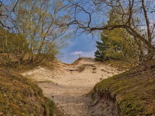 4 person holiday home in Børkop - 6