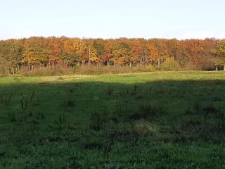 6 person holiday home in Toftlund - 3