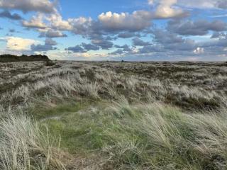 Luxury Retreat in Romo - By Traum Ferienwohnungen - 4