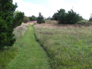 6 person holiday home in Fjerritslev - 3