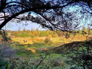 6 person holiday home in Fjerritslev - 5