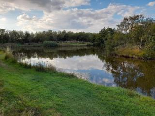 5 person holiday home in Skjern-By Traum - 5