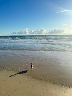 Brisas del Atlantico Resort - 9