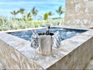 Luxury private suite with jacuzzi- romantic getaway! - 3