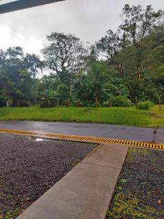 Oropendola Lodge - 4