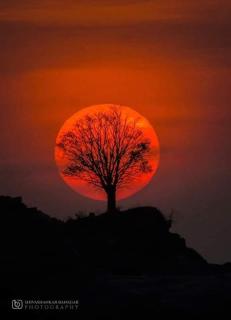 Dream Hampi Cottage - 1