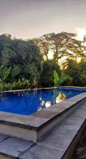 Carangsari 3 Bedroom Villa with Private Swimming Pool and Riverside - 6