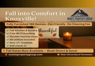 1BR Near UT & Hospitals Quiet & Cozy Pet Friendly - 0
