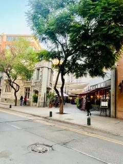 Studio in Lastarria - art, culture and gastronomy - 1