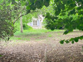 Gîte tout confort avec jardin clos à Pocé-sur-Cisse - FR-1-381-630 - 5