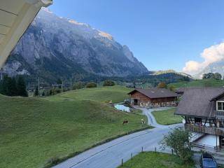 Wesley Panorama - Penthouse for Family & Friends - Kandersteg - 3