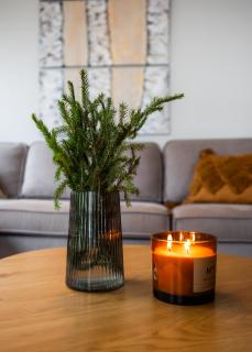 Arctic Mustache Lake Lodge - 3