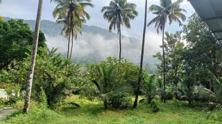 Pavans Rainy Days Home Stay - 6