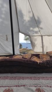 Zelten Bir Luxury Forest Jungle Camps - 5