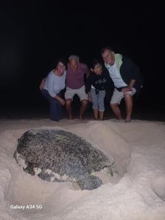 Sea Turtles Guest House - 2