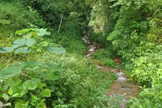 Springhill Farmstead - 3