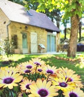 Gîte du Moulin de Maître Pierre - 0