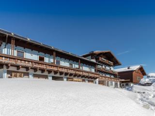 Spacious Apartment near Ski Area in Mittersill - 1