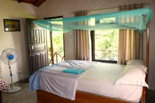 Bardia Homestay Pvt. Ltd. - 3