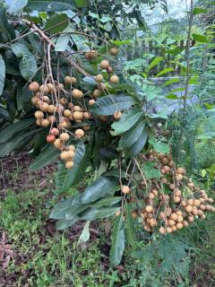 Queue&Bright Resort - 7