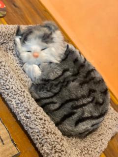 Ekamuthu Homestay - 5