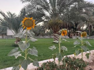 فلة مزرعة سيلا - 7