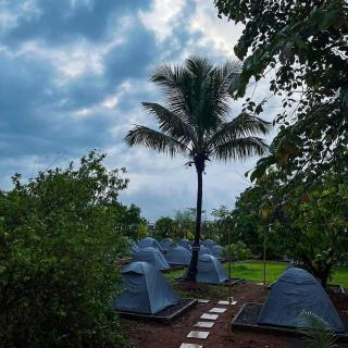 Siddhi Farm Kolad - 2