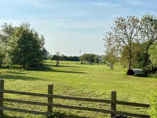 Tranquil and cosy cottage on the Somerset Levels - 1