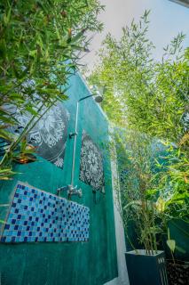 Banana Farm Eco Hostel - 1