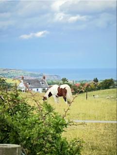 The Flask Inn, Fylingdales, Whitby - 6