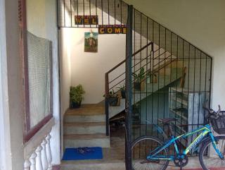 Green House No 02 - 8