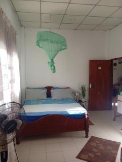 Green House No 02 - 3