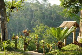 Wana Ayu Jelijih Villas - 7