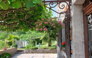 Villa Simic by Villas Guide - 2