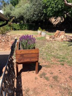 Cozy Cottage on 5th Avenue - 6