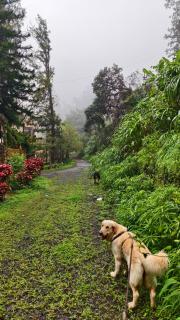 Hill and Sky Stay - Panchgani Villa - 6