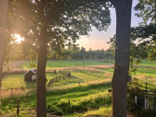 Bos appartement voor 4 personen - 1