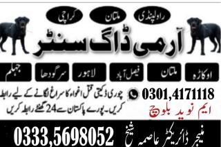 Army Dog Center Faisalabad - 1