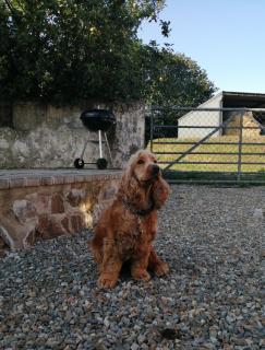 The Barn Square Island - 5