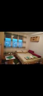 Apartman Milic - 7
