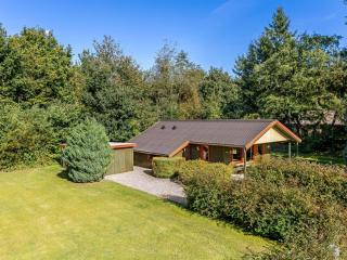 Holiday Home Aron - 30km from the sea by Interhome - 0