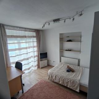 Bahnhofs-und Zentrumsnahe schöne 2-Zimmer Wohnung - 4