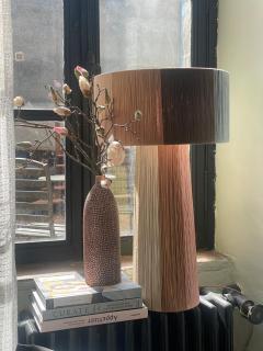 Dreamhome B&B Limoux - 1